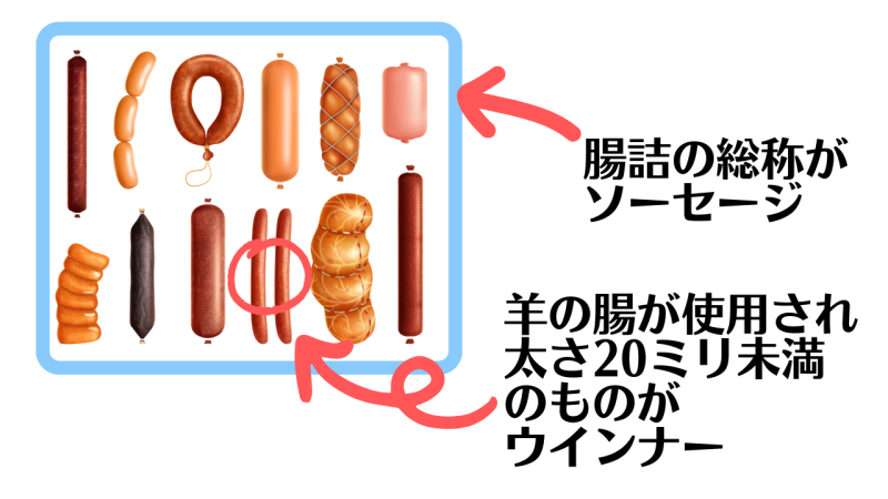 【ウインナーとソーセージ】の違い/「太さ」で区別